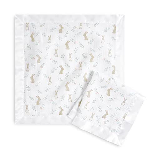 aden anais Essentials Issie Security Blankets 2 Pack Blushing Bunnies
