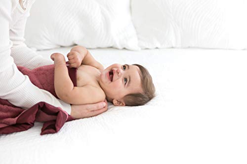 SwaddleDesigns Stroller Blanket Earthtone Puff Circles Truffle
