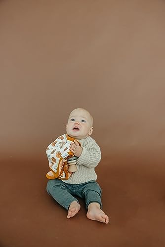 Copper Pearl Baby Security Blanket Set of 2 - Portable Ultra-Soft Loveys