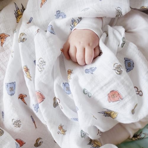 aden anais Swaddle Blanket 2 Pack - Baby Muslin for Girls Boys