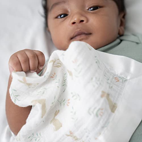 aden anais Essentials Issie Security Blankets 2 Pack Blushing Bunnies