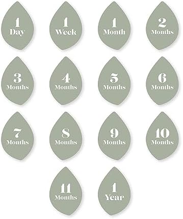 Lulujo Baby Milestone Blanket and Cards Set