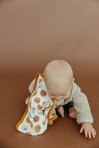 Copper Pearl Baby Security Blanket Set of 2 - Portable Ultra-Soft Loveys