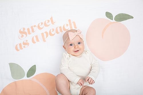 Lulujo Baby Milestone Blanket and Cards Set