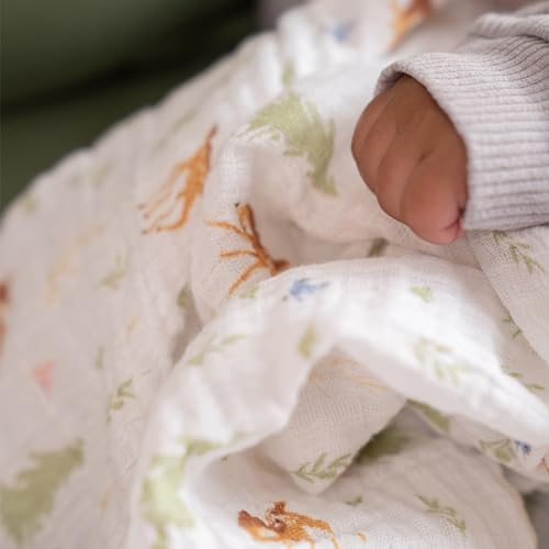 aden anais Disney Friends Muslin Swaddle Blankets 2 Pack