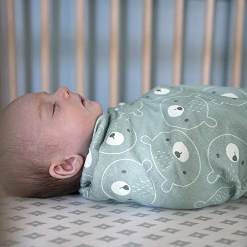 Ingenuity Naps Nights 2-Pack Swaddling Blanket Set - Kodi 1