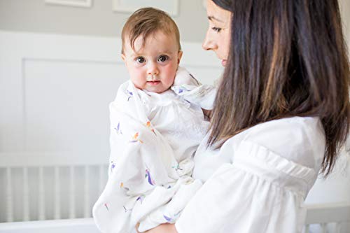 Lulujo Baby Swaddle Blanket Hummingbird 47x47