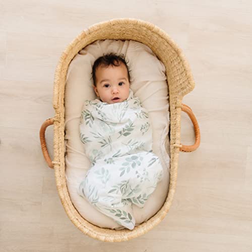 Pondering Pine Organic Swaddle Hat Set - 47 x 47