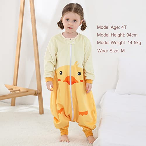 MICHLEY Baby Sleeping Bag Long Sleeve with Feet for 1-3 Years
