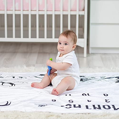 Baby Boy Milestone Blanket with Felt Frame