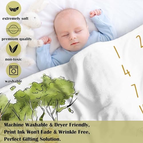 Classic Winnie Monthly Milestone Blanket with Star Marker 1
