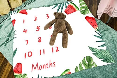 LYLYCTY Baby Milestone Memory Blanket 48x40 Inch