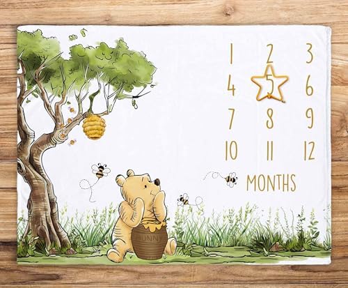 Classic Winnie Monthly Milestone Blanket with Star Marker 1
