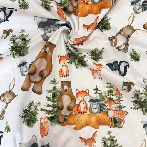 Buerhanerry Woodland Animal Baby Blanket 30x40 Soft Minky with Double Layer Dotted Backing