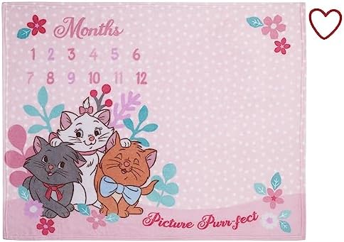 Disney Aristocats Pink Baby Blanket with Monthly Milestone Design