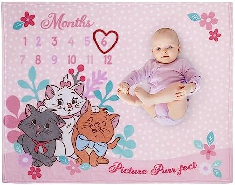 Disney Aristocats Pink Baby Blanket with Monthly Milestone Design