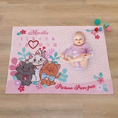 Disney Aristocats Pink Baby Blanket with Monthly Milestone Design