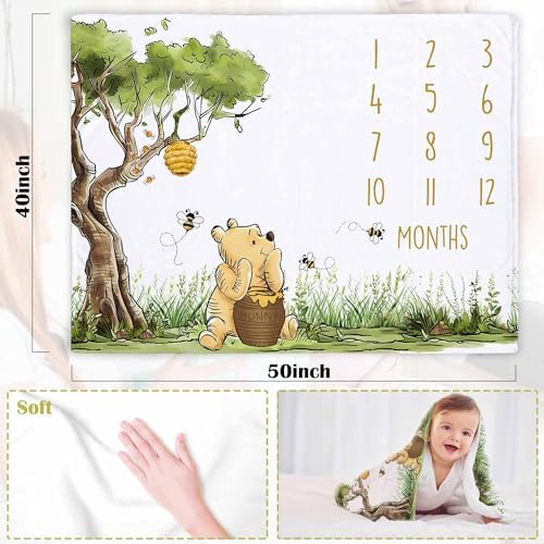 Classic Winnie Monthly Milestone Blanket with Star Marker 1