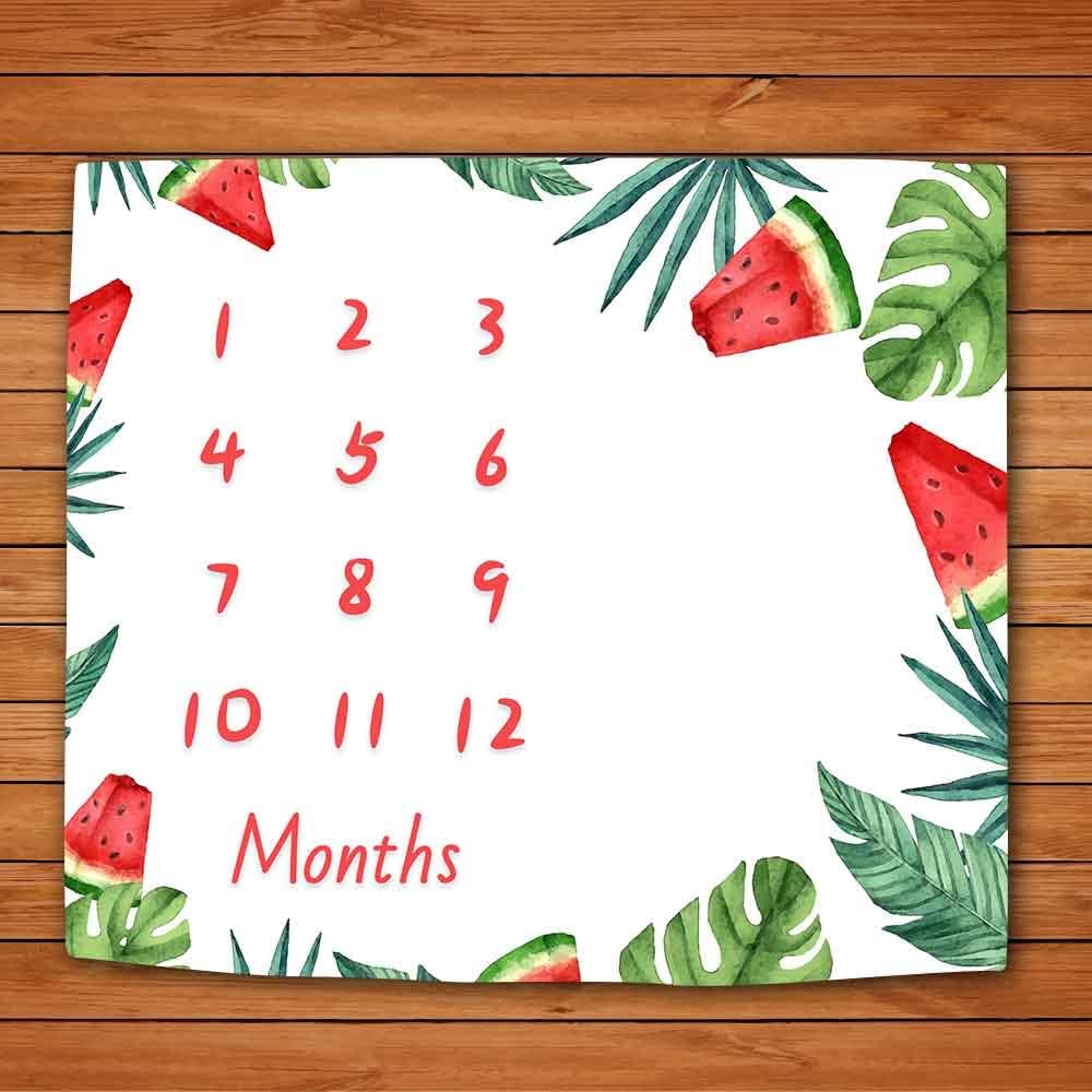 LYLYCTY Baby Milestone Memory Blanket 48x40 Inch