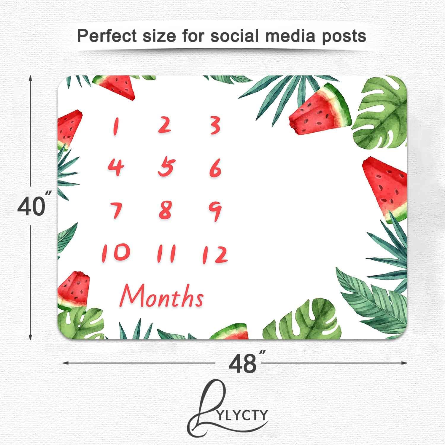 LYLYCTY Baby Milestone Memory Blanket 48x40 Inch