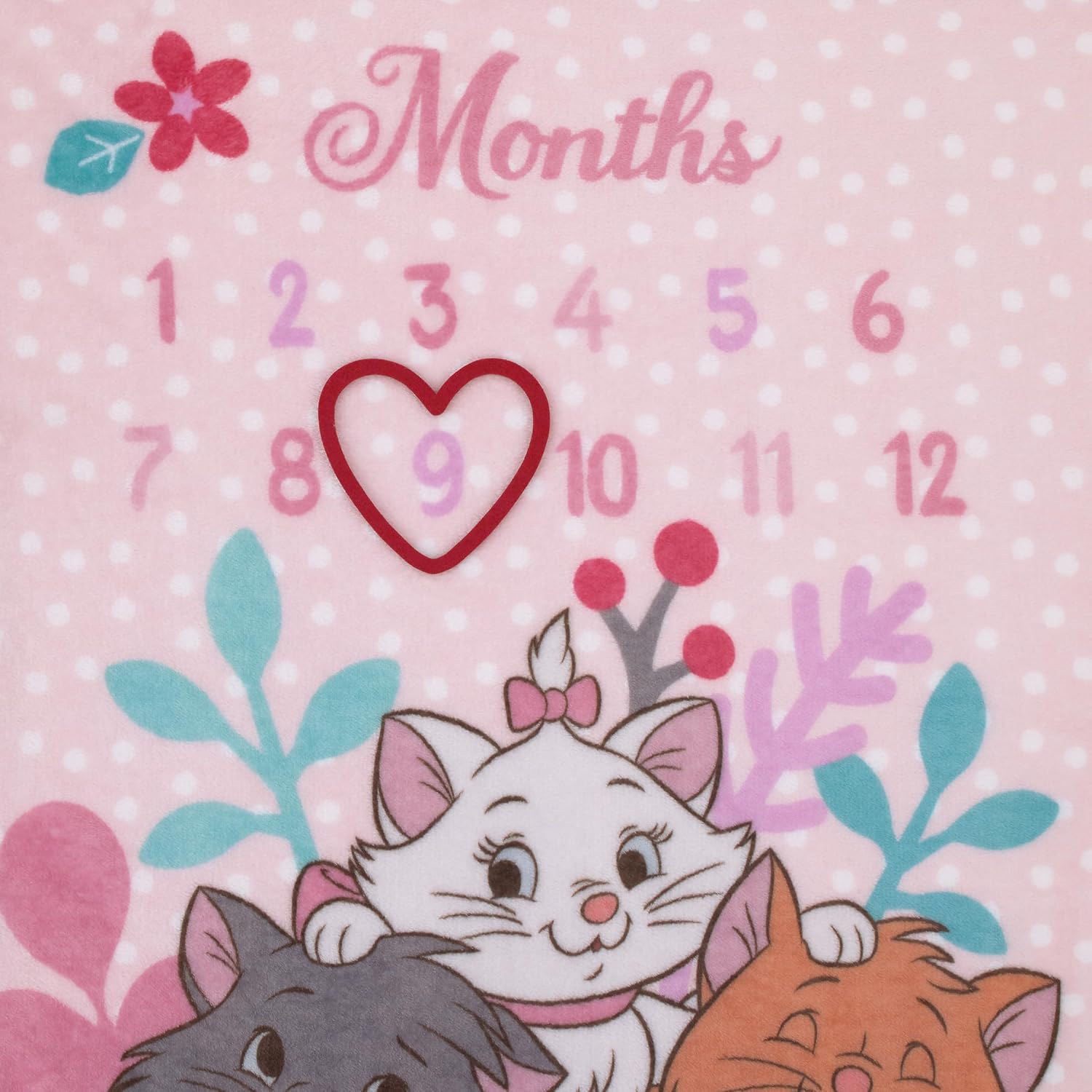 Disney Aristocats Pink Baby Blanket with Monthly Milestone Design