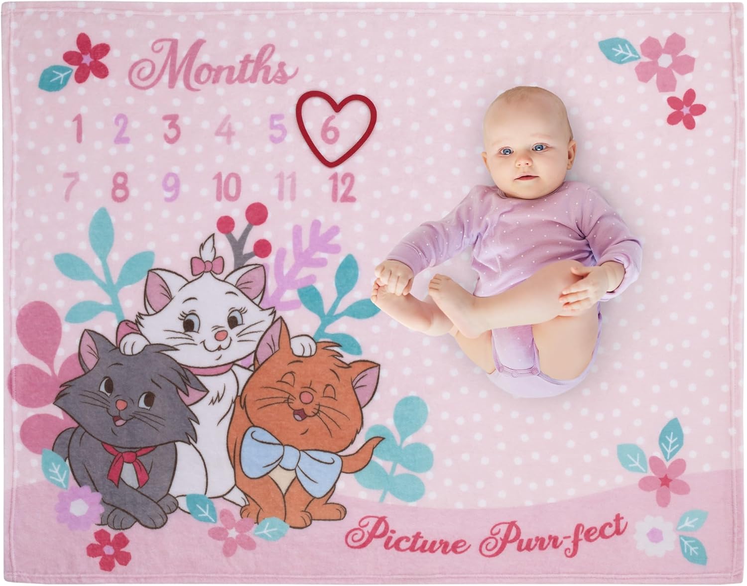 Disney Aristocats Pink Baby Blanket with Monthly Milestone Design