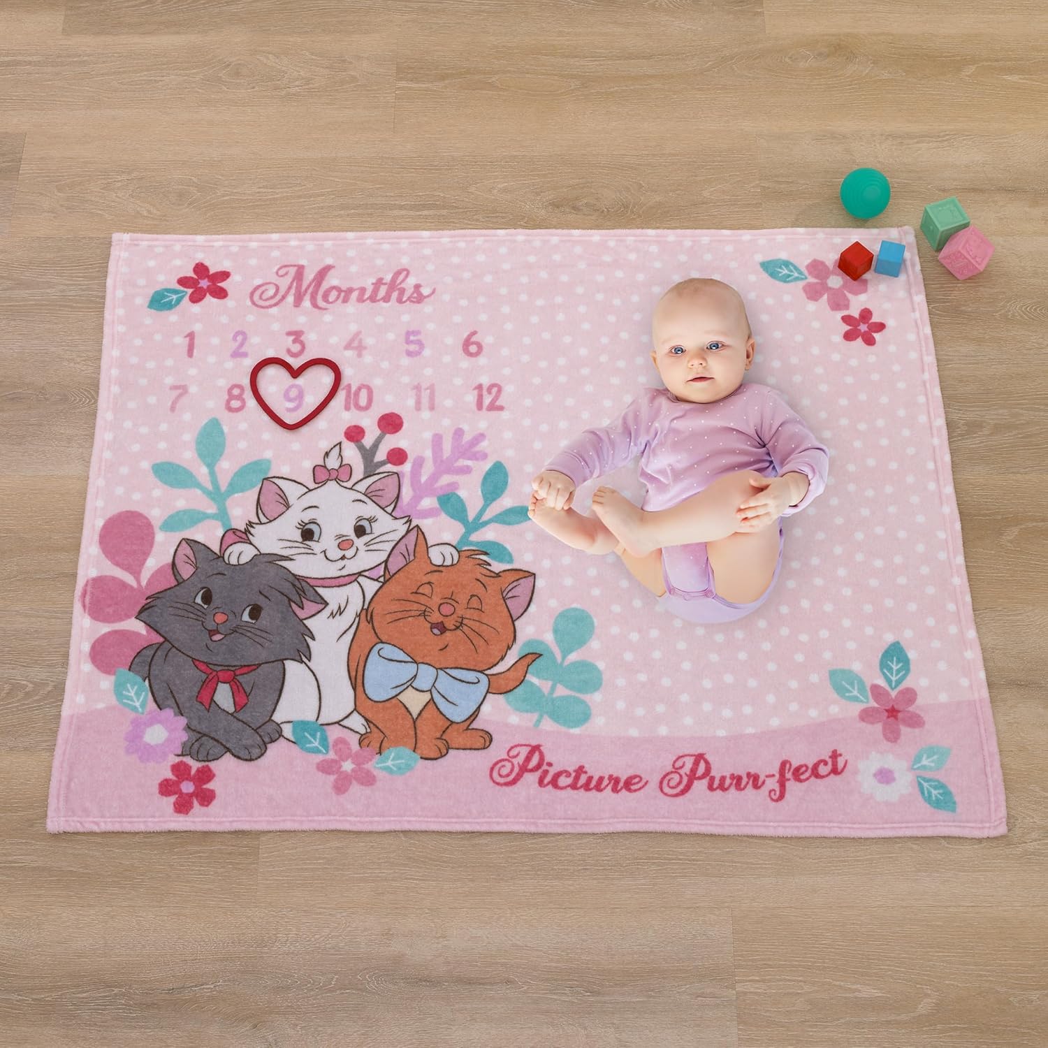 Disney Aristocats Pink Baby Blanket with Monthly Milestone Design