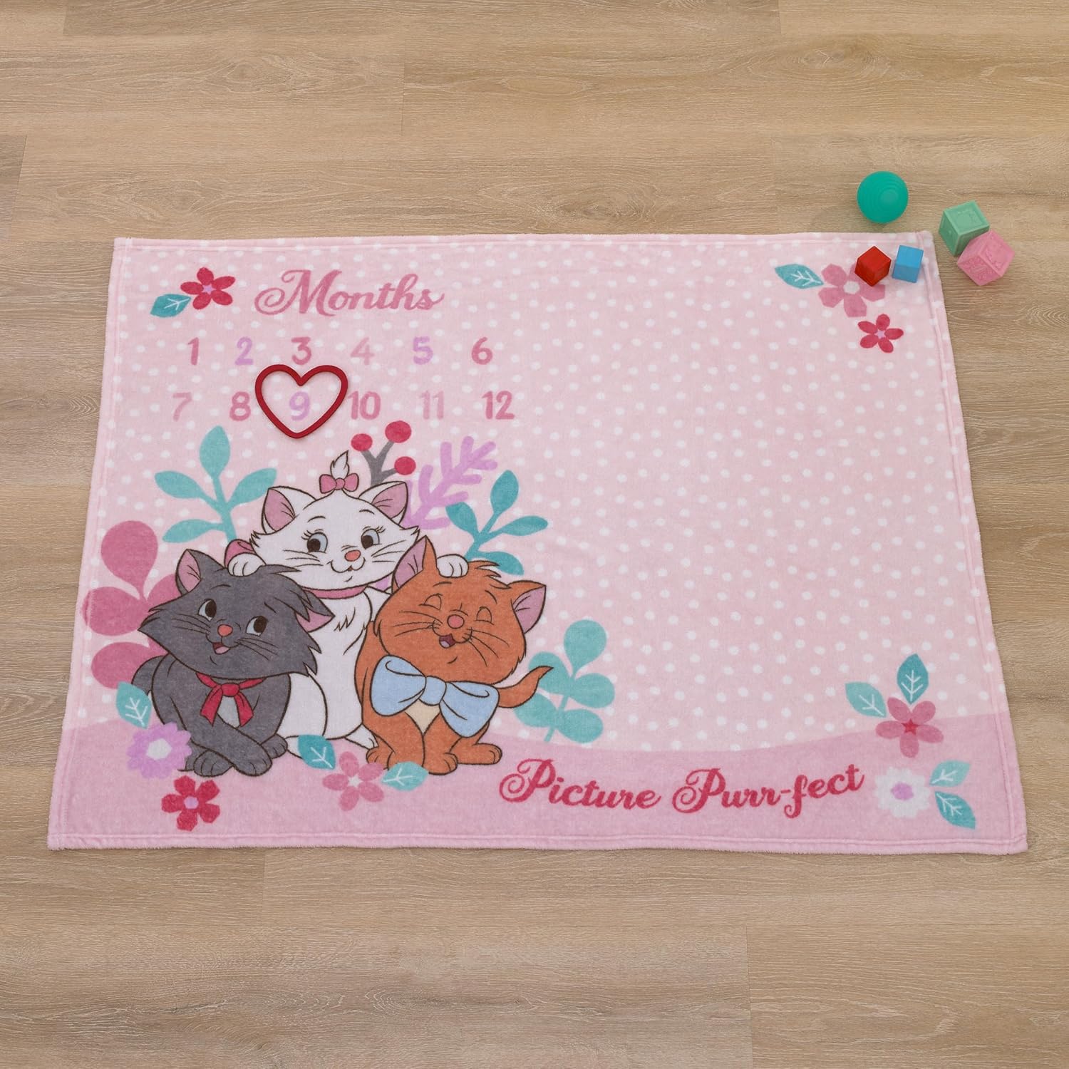 Disney Aristocats Pink Baby Blanket with Monthly Milestone Design
