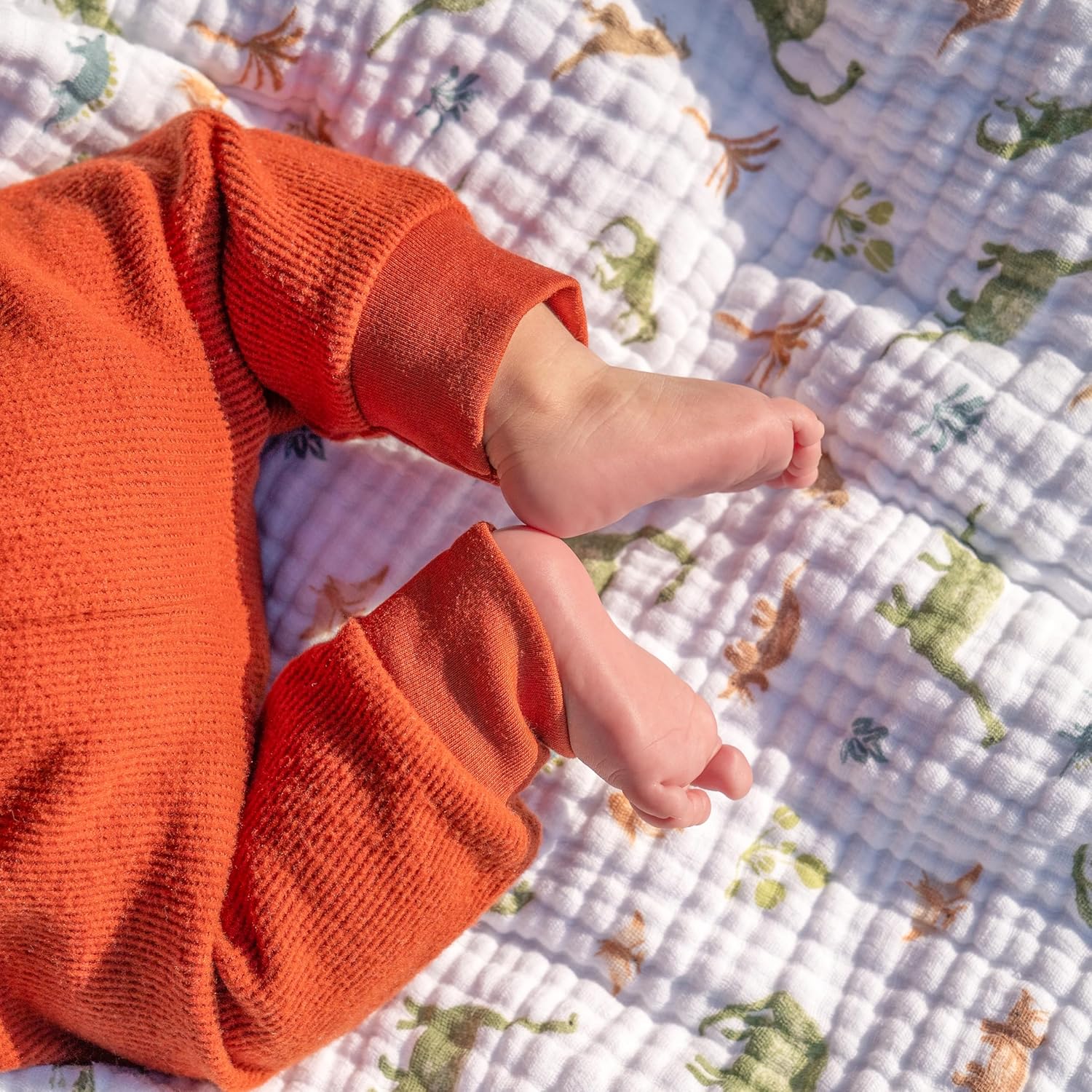 Aden Anais Dino Jungle Muslin Blanket for Baby